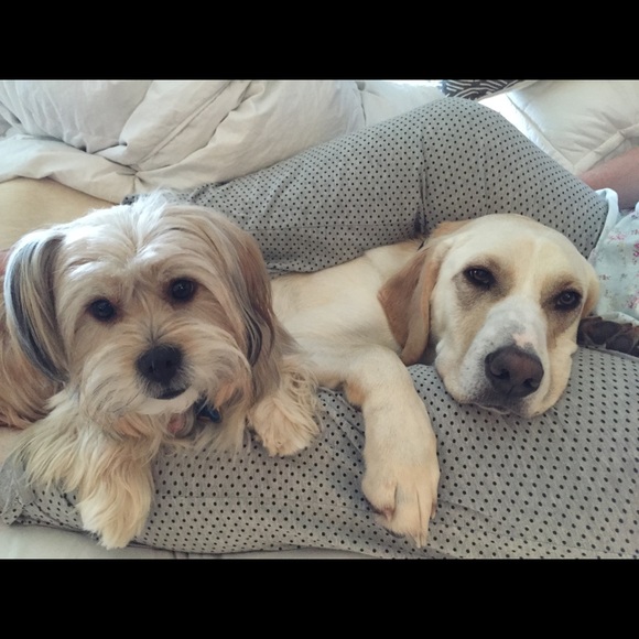 Meet your Posher, Lindsay - Picture 1 of 1